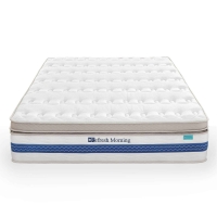 Matelas hybride 160 x 200 x 32 cm mémoire de forme et ressorts ensachés